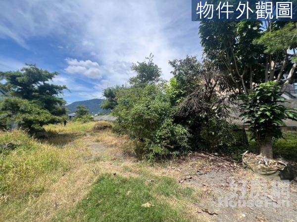 BT0059中峰綠意臨路方正農地