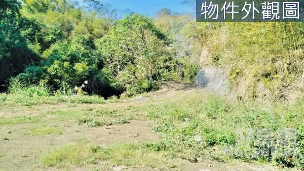 【頭屋仁隆段】超大地坪景觀悠靜美林地