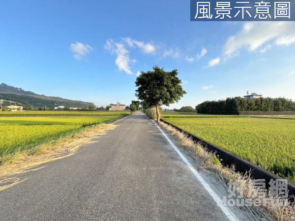 專任~苑裡上館段低總價美農地