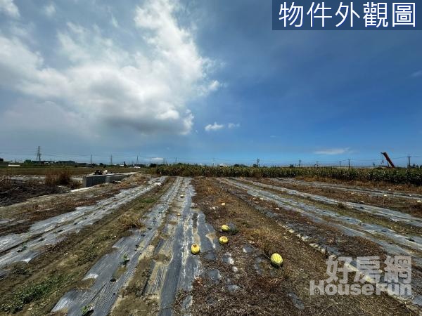 麥寮破甲的大農地一般農業區未來市農二