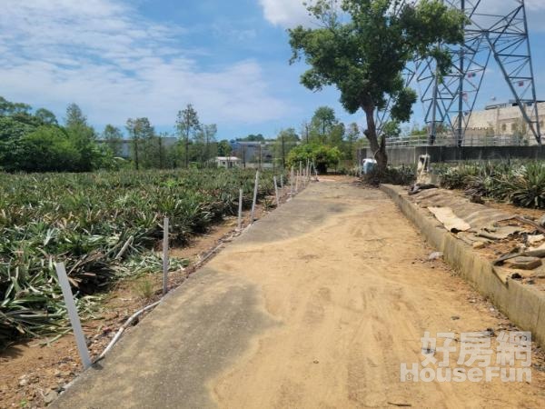 大樹區水寮新水安段便宜農地