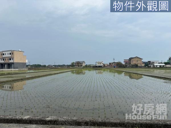 五結錦草大面寬美景休閒農地