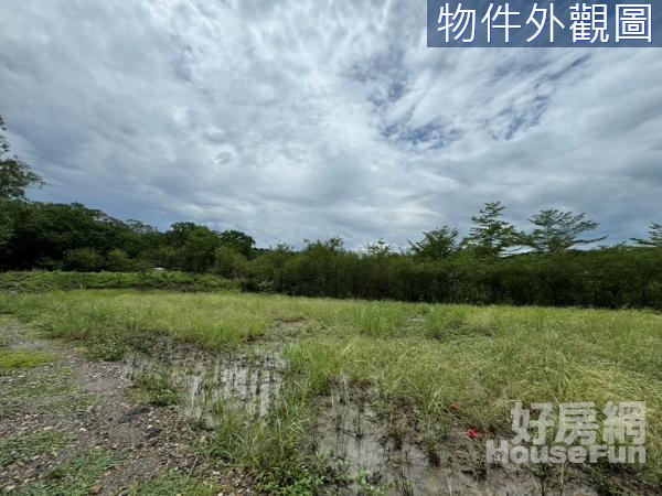 農地|東山區崎子頭段｜有水有電~山坡美農地