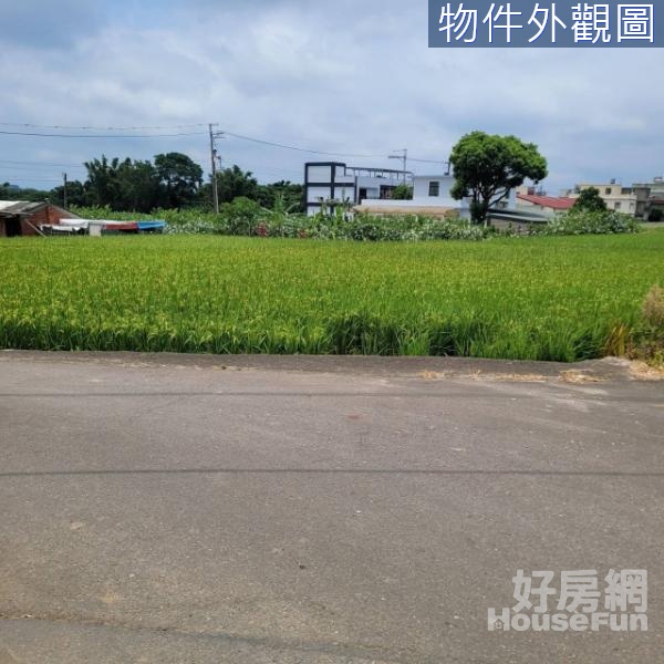 楊梅區適合建造田園景觀豪宅別墅稀有農地+建地