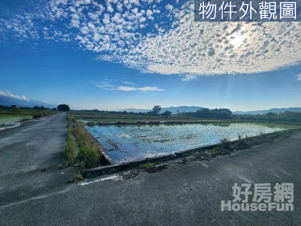 🌿鳳林~鳳信段雙面路有水源優質農地🌿