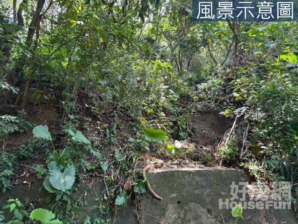 高雄燕巢山坡地保育區5.6分林業用地