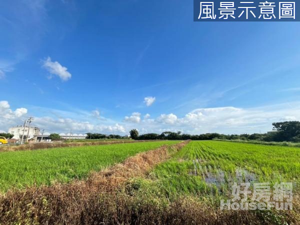 新屋區後湖路茄苳溪美農地物超所值