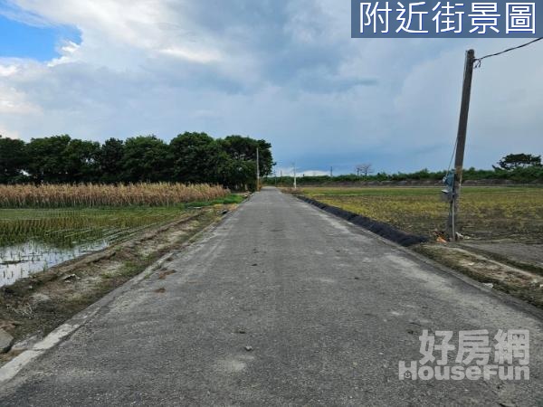 元長大面寬雙面路漂亮農地～4.4分[有巢氏-王美華