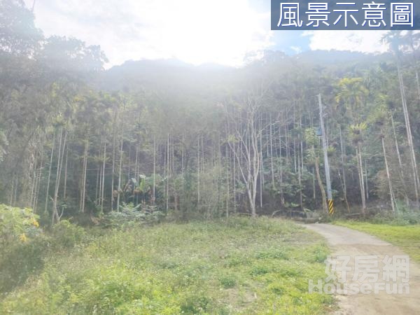 南投雙冬雙冬山坡地