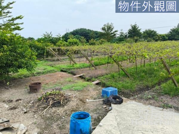 埔心正員埔路現有葡萄園開心休閒美田