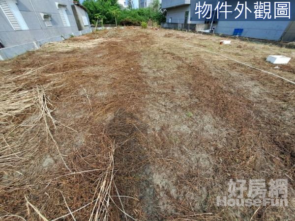 柳營區~雙和段~大地坪豪華別墅臨路建地B