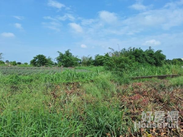 民雄中正大學旁大地坪農地