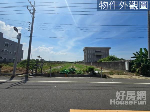 將軍國中有水有電雙面臨路平坦農牧用地