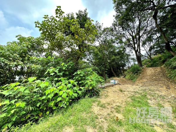 汐止茄苳溪流旁山林綠水秘境生態農地(二)