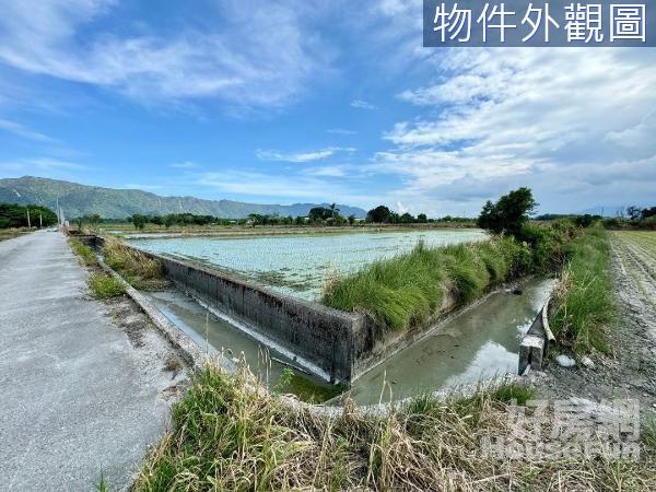 🌸壽豐大面寬有臨溝風景優美足坪農地A⛰️