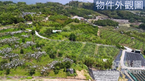 【大湖南湖段】大湖果園｜農牧用地