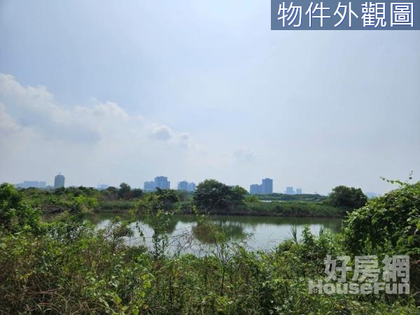 安南近九份子重劃區持分707坪投資魚塭農地.