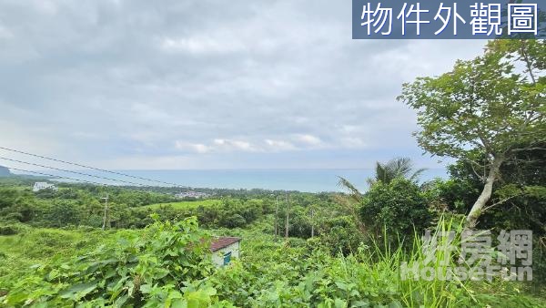 🍃台東長濱大俱來景觀看海農地(袋地)🍃