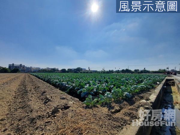 橋頭區稀有釋出開心農場#特定農業區#方正農地