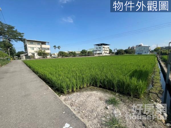 🌱大里都市計畫區段 徵收範圍內農地