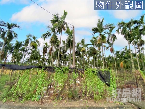 近國三*西勢車站*都市花園美農地