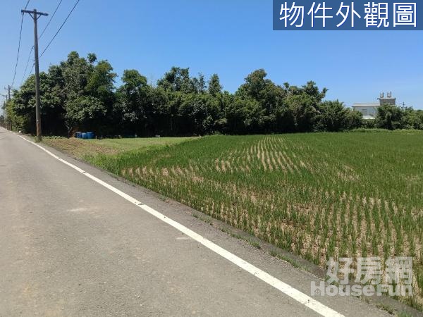 (愛)新屋區永安國小.東明國小雙面臨路美農地