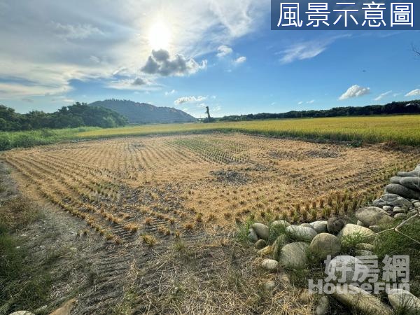 V.外埔農地行情價決心要賣