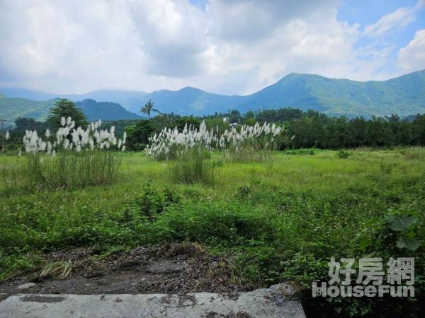 土/廠059-高樹大山一路近旗山美濃雙面路農地