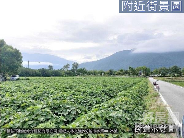 花蓮縣吉安鄉平坦好利用方正農地佳