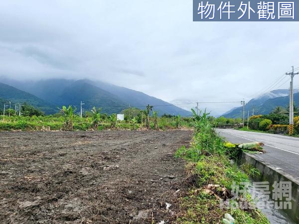 兆豐農場旁超大面寬水源充沛農地 🌈10F098