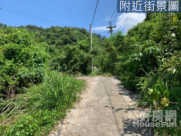 冬山河超保值生態林區2甲山坡農建地