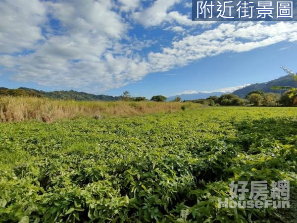 超大地坪都計內農地廠房