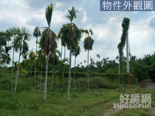 離萬巒豬腳約5分鐘車程/漂亮山景2.7分農地