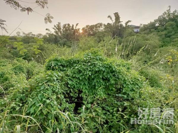 ★高雄旗山★北勢段2分7恬靜優雅農地