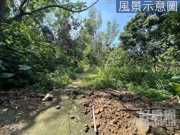 高雄燕巢山坡地保育區2.6分林業用地