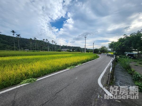 外埔｜安定國小｜風坑路農地829坪