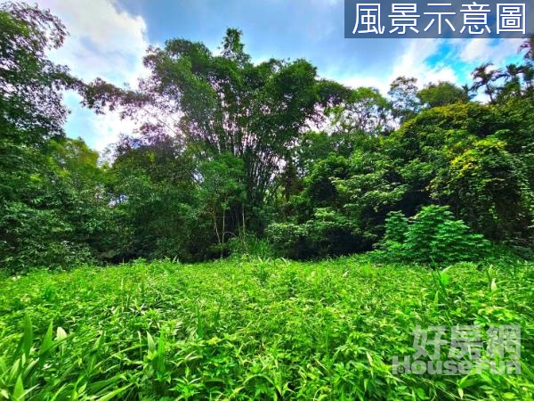 專任。近日月潭悠游魚池秘境農建+農地