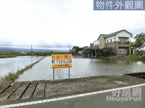 三星大洲三段免填土地形方正美農地