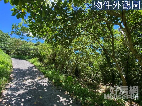 🌿獨家專售｜花蓮磯崎高山看海風景區｜原保農地