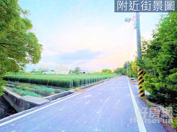 田尾公路花園旁鄰路方正農地