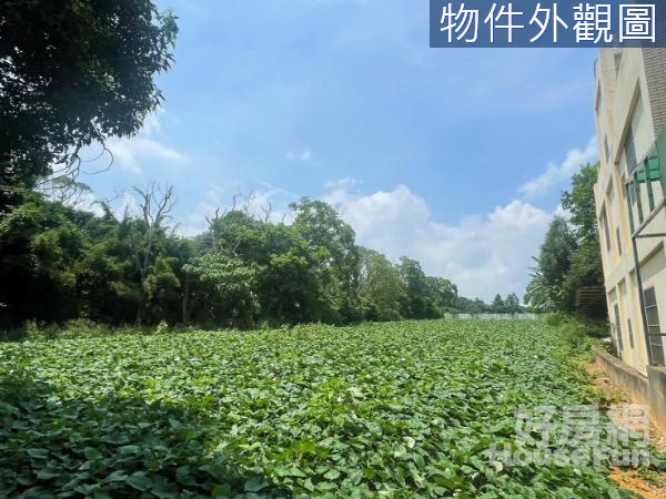 海風產業園區｜海風段7米路方正農業用地