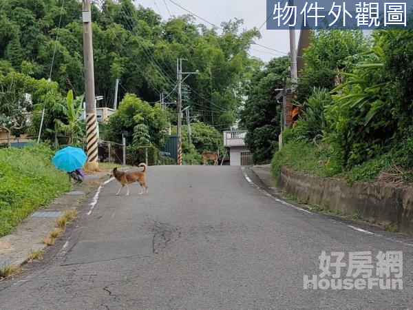 左鎮2.37甲多樣果園有產值農地