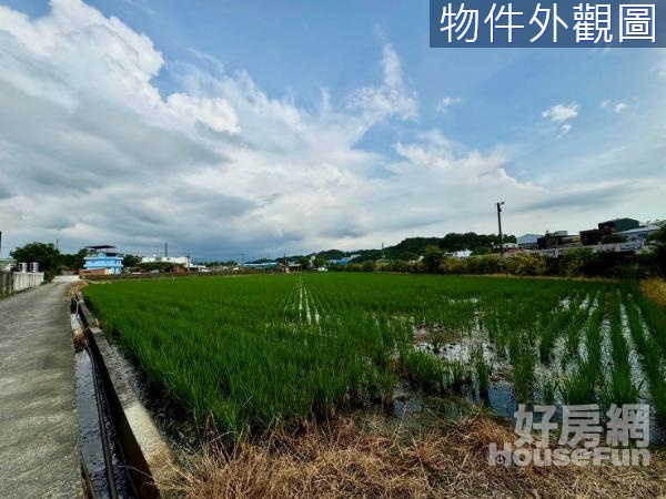 專任竹南台1線旁大面寬雙面臨路增值農地