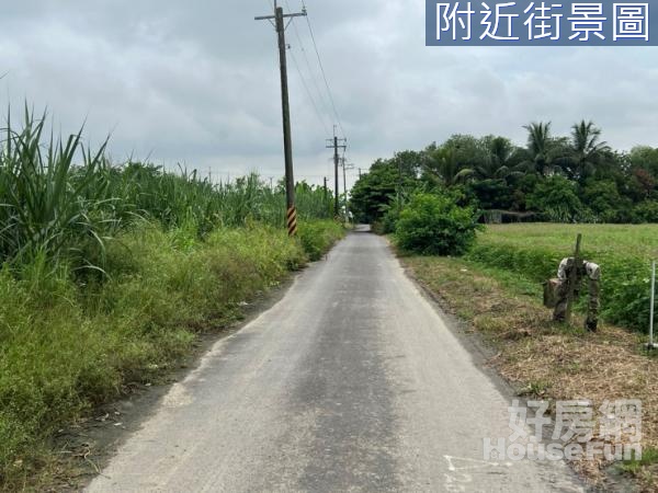 善化台積電烏橋中路1.6分一般農地A