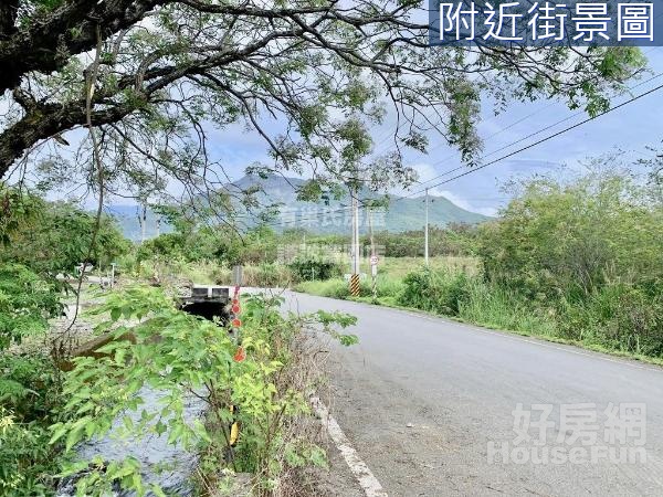 壽豐東華140坪小農地路6米地方正UF823