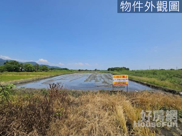 三星鄉貴林段超大地坪好規劃優質美農地