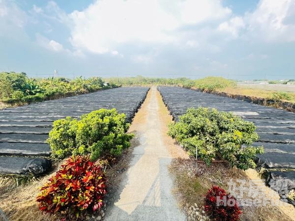 土/廠08-屏東高樹近新南國小臨路大面寬農地🐓