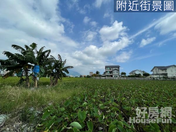 花蓮~吉安都內方正臨路農地14F346