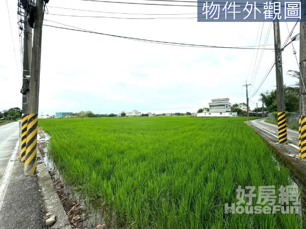 🌳永興幽靜足坪雙鄰路方正美農地🌳