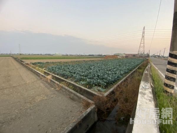 🌳美林國小旁雙面路農地🎑